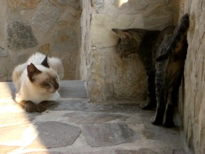 Det är inte lätt med den redaktionella integriteten i dessa dagar