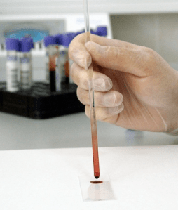 Photo.CC_PublicDomainPictures