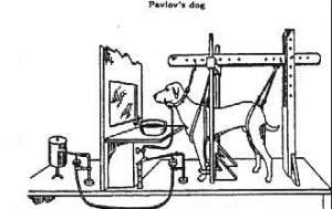 Brad Jones och hans Liverpool - ett  trenoll-offer för betingade reflexer!  