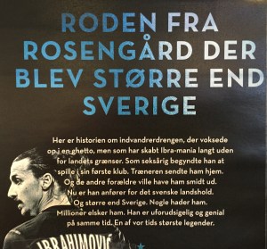 "Roden" betyder egentligen rötter men kan även beteckna en ung planta. Att "han blev större än Sverige" är ett tydligt uttryck för detta eviga danska "mindervärdeskomplex".