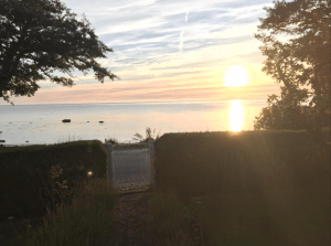 Vaknar, drar upp rullgardinen, öppnar dörren och möts av detta! 