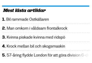 Ur Ystads Allehanda dagen efter. Långsamt fasas jag ut från topplistan av dödsfall, bilolyckor och piskade kvinnor. Behovet av "solskenshistorier", som YA:s Janne Ohlsson formulerade det ska inte underskattas. 